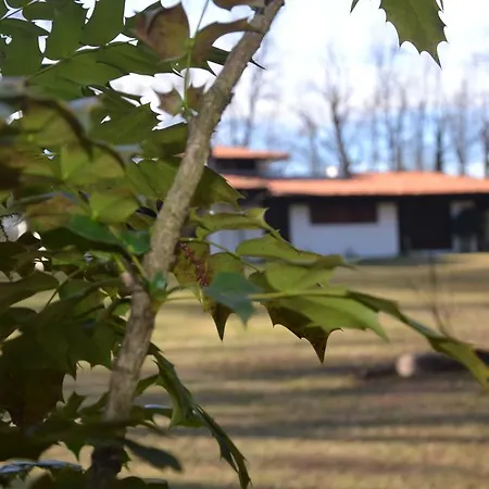 Il Giardino Dei Sogni *
