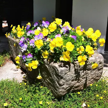 Il Giardino Dei Sogni
