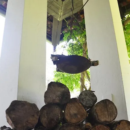 Il Giardino Dei Sogni