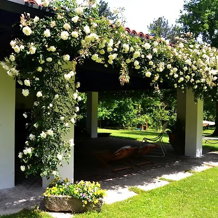 Il Giardino Dei Sogni Somma Lombardo