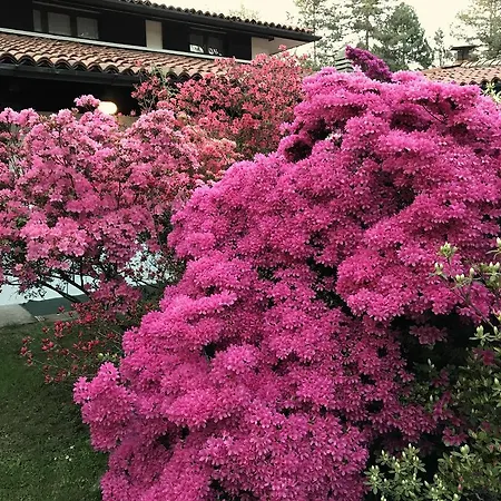 Alojamento de Acomodação e Pequeno-almoço Il Giardino Dei Sogni
