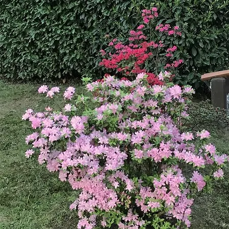 Il Giardino Dei Sogni Somma Lombardo